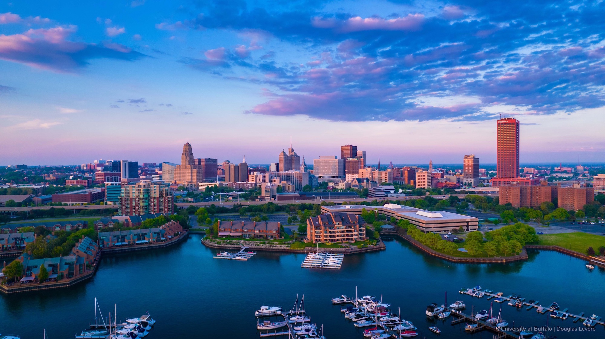 Buffalo Skyline 2